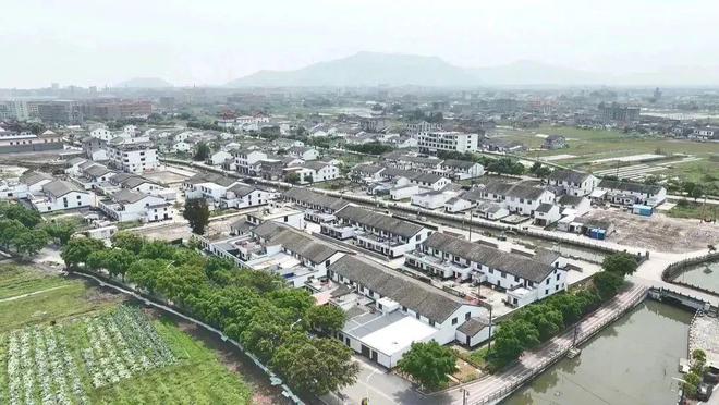 温州龙港批市最新答案及其探讨深度解析