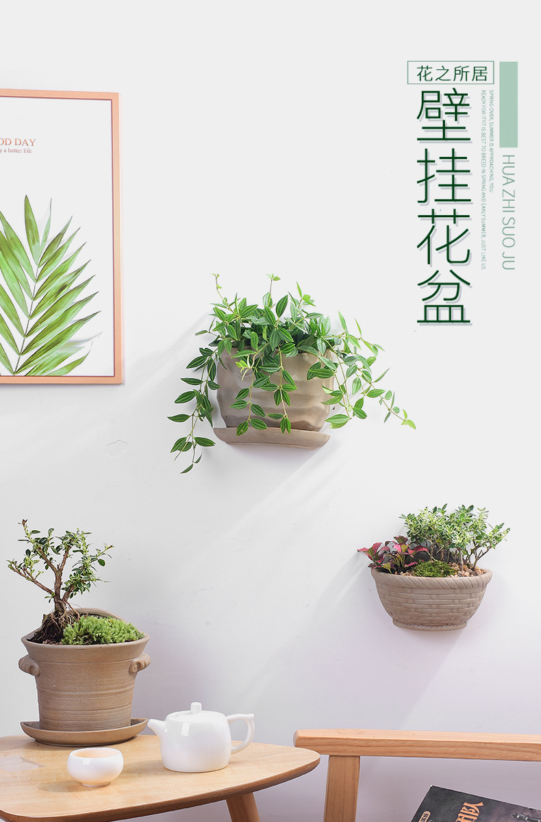 最新挂盆图片，展现变化的力量与自信成就感的绽放之美