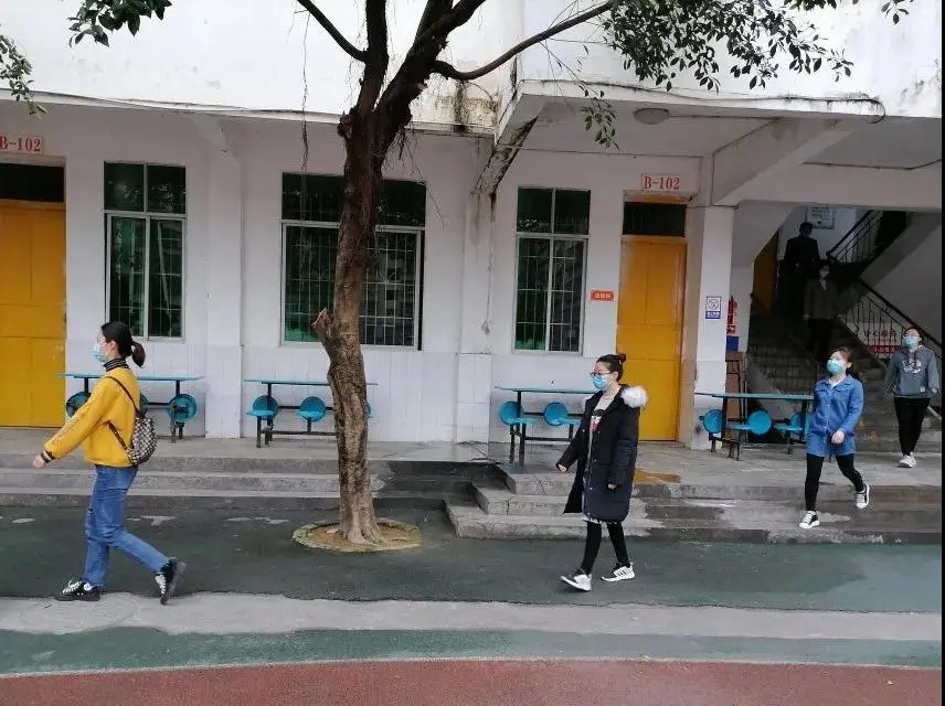 恩阳开学最新，小恩的开学趣事与友情绽放时刻