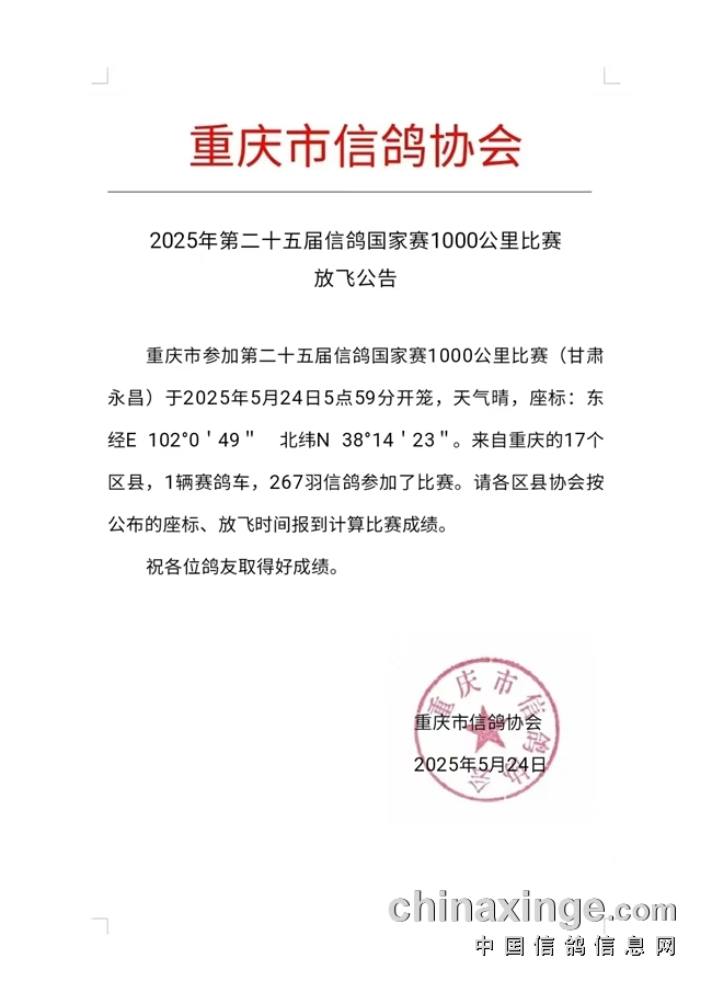 未央鸽会最新动态，自信翱翔，探索变化带来的无限可能